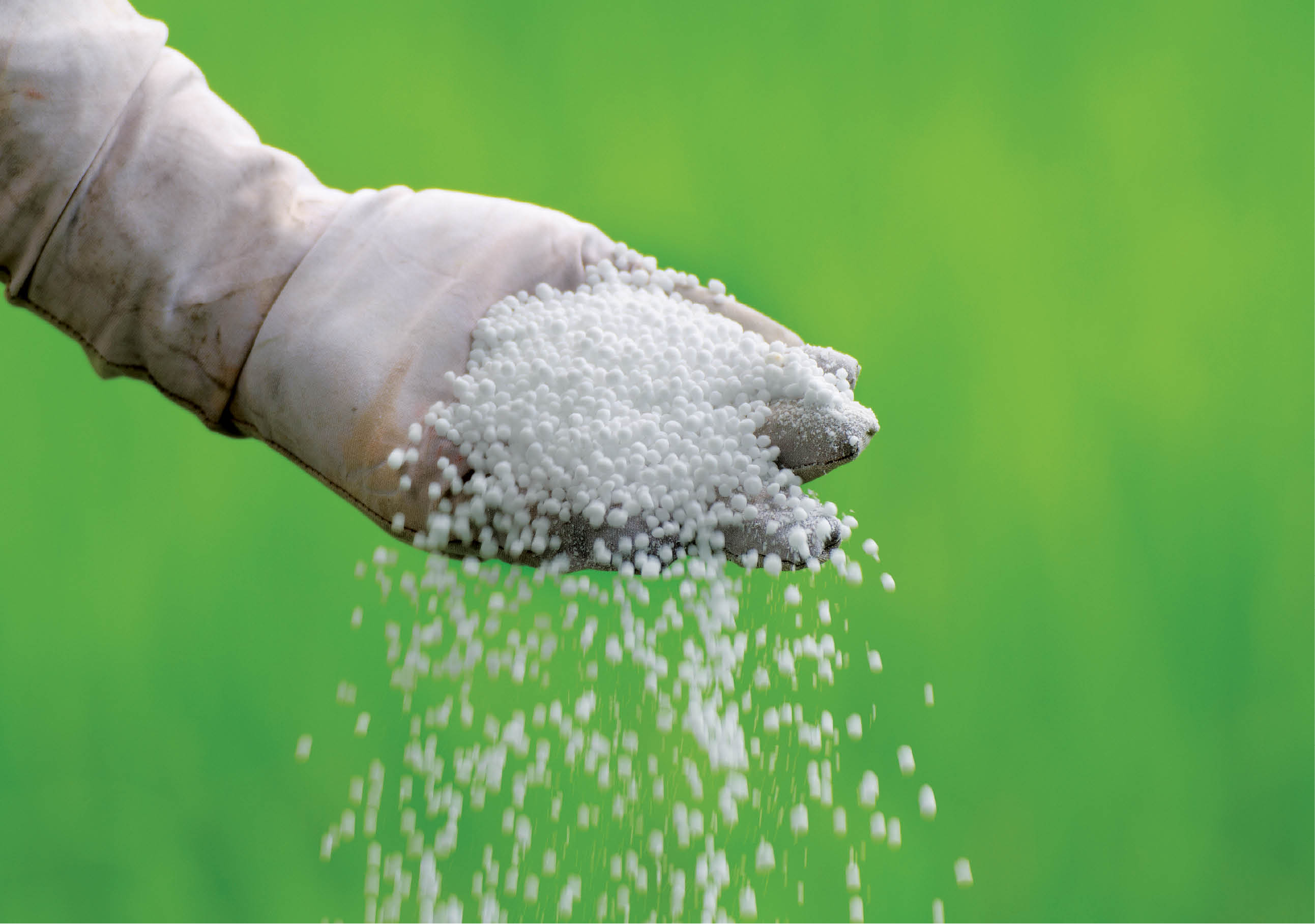 Fertiliser pricing and subsidy policy in India